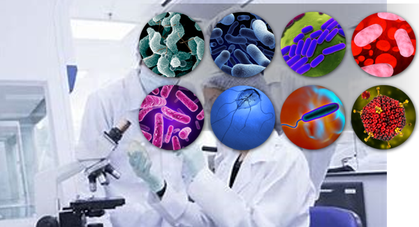 微生物檢測